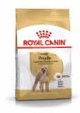 Royal Canin Poodle Adult Hondenvoer 6 x 1.5 kg