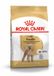 Royal Canin Poodle Adult Hondenvoer 6 x 1.5 kg