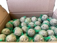 Famiflora Mezenbollen met Netje - Vogelvoer - 100 bollen à 90 gram