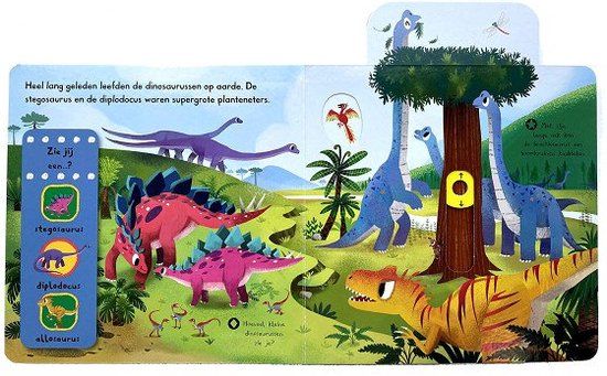 Kijk en ontdek! Bij de dino´s - Chorkung | Paperback