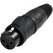 Rean AV RCX3F-Z-002-1 XLR-connector Bus, droit Nombre de pôles : 3 1 pièce(s)