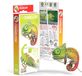 EUGY 3D Puzzel - Kameleon - Wilde Dieren - Duurzaam - Verzamel Ze Allemaal - 6 Jaar