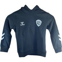 Junior Hoodie Hummel Celebrating Story