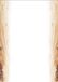 Merkloos Sigel Designpapier Oak 2 A4 90grs Pak 100 vel
