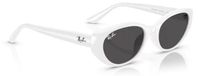 Ray-Ban Modieuze zonnebril RB 4457D 677287