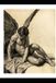 L'ombra e la forma - esplorazione del corpo maschile: L'estetica dell’anima - un’indagine grafica sul nudo maschile
