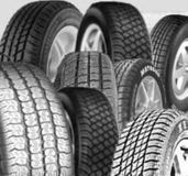 Minerva Winterbanden FROSTRACK HP M+S 3 205/55 R16 91H