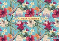 Deltas Weekplanner - Exotic
