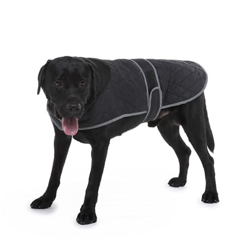 JRKJ Winter Dog jas kleding Waterdichte reflecterende grote hondenjas Soft High Collar Dog Vest voor Medium Large Dogs S-2XL