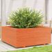 Maison Exclusive - Jardinière cire marron 110x110x49,5 cm bois de pin massif