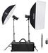 Godox SK400IIV-C Studio Flash Kit
