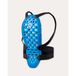 Revit Protection Dorsale Spina