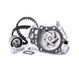 INA 530 0182 30 waterpomp + tandriemenset | Compatibel met: RENAULT CLIO I, CLIO II, KANGOO, KANGOO Express, TWINGO I