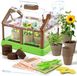 Set de 4 plantes en mini-serre pour enfants