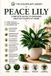 Peace The Houseplant Library- Peace Lily: Simple Care Tips to Grow Healthy Indoor Plants, Encourage More Blooms, Prevent Common Problems, and Master Spathiphyllum Care Year-Round: 3
