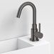 Clou Freddo fonteinkraan, met draaibare uitloop, gunmetal PVD
