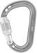 Petzl Rocha Mousqueton Argent
