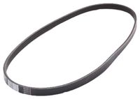 JAPANPARTS JPDV-4PK0975 V-riem