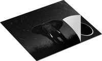 Chefcare Inductie Beschermer Olifant Omringd met Sterren - Zwart Wit - 57,6x51,6 cm
