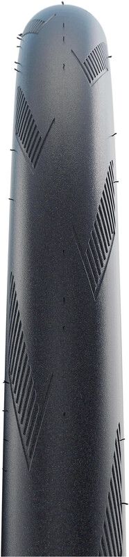 SCHWALBE  /  /  /  / 