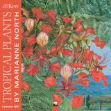 Flame Tree KEW Tropical Plants Kalender 2027
