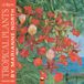 Flame Tree KEW Tropical Plants Kalender 2027