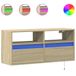 vidaXL meuble TV avec 2 tiroirs et éclairage LED, chêne Sonoma, 100x31x45 cm