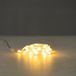 Non-branded Micro-light chain with LEDs | warm white | indoor and outdoor | incl. timer (transparent)