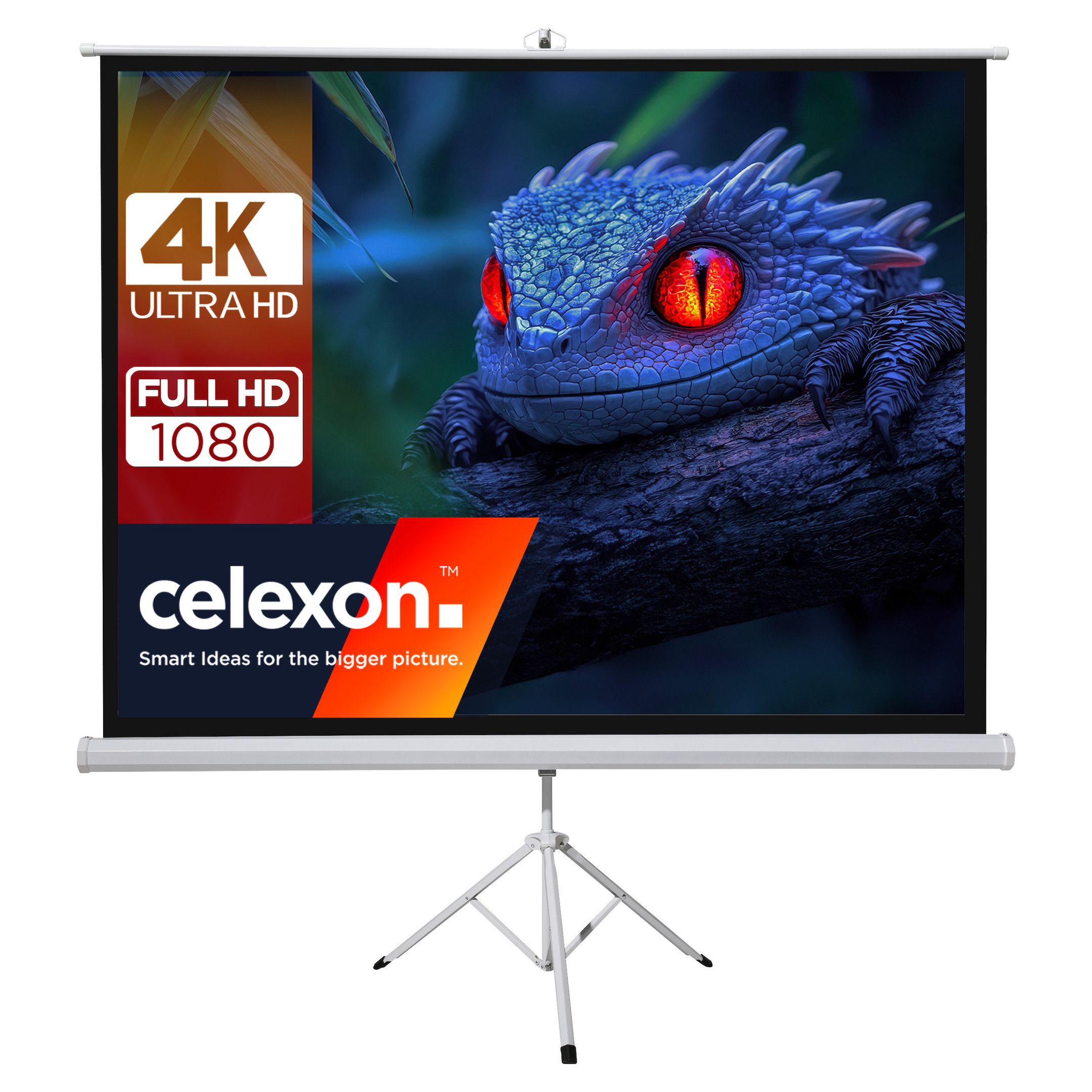 celexon Basic Mobiel projector statief scherm 220x220cm 123" 1:1