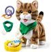 Chat électronique jouet interactif peluche chat - Marchant et chantant - 6 chansons intégrées - Pour enfants