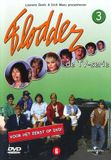 Flodder V3 (DVD)