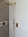 Wiesbaden Caral Doucheset Inbouwthermostaat 30 cm - Geborsteld Messing