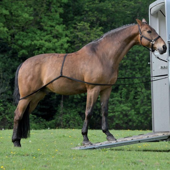 Waldhausen Trailerhulp voor inladen