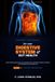 Your Bodys Your Digestive System & Gut Health: A Plain English Guide