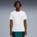PUMA M PWRTRAIN Triblend T-shirt