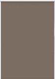 vidaXL - Rolgordijn - verduisterend - koffie - 90x150 cm