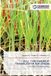 Pull Lap Lambert Academic Publishing Pull Type Paperpot Transplanter for Onion