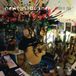 Studio Zoo - Newton Faulkner