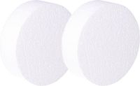 Merkloos Piepschuim vormen ronde schijf/schijven - 2x - D10 x H3 cm - knutselen materiaal - zelf decoreren
