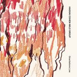 Gravitations Xjazz Music Haggai Cohen-Milo - Gravitations