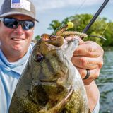 Rapala CrushCity Ned BLT Coppertreuse 7.5cm Coppertreuse
