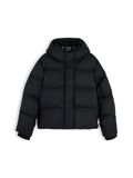 TOMMY HILFIGER Winterjas gemengde kleuren