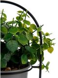 IBERGARDEN Decoratieve plant Grijs Met steun Metaal Plastic (14 x 30 x 14 cm)