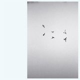Bertus Distributie Thirtythreerecords Landscapes LP