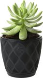 Form Plastic Plantenpot/bloempot New Age - kunststof - zwart - D27 x H24 cm - met opvang schotel - rond