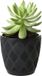 Form Plastic Plantenpot/bloempot New Age - kunststof - zwart - D27 x H24 cm - met opvang schotel - rond