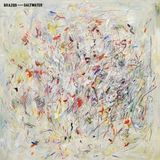 Konkurrent Brazos - Saltwater (CD)