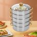 Cuisiseur vapeur inox - Double chaudière - Appareil vapeur 5 couches - 28 cm - Convient pour riz et légumes