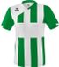 Erima Siena 3.0 Shirt Korte Mouw Heren - Wit / Smaragd | Maat: M