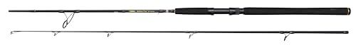 PENN Wrath II Spin Rod - 2.13m, 10-30g - Sea Fishing Rod